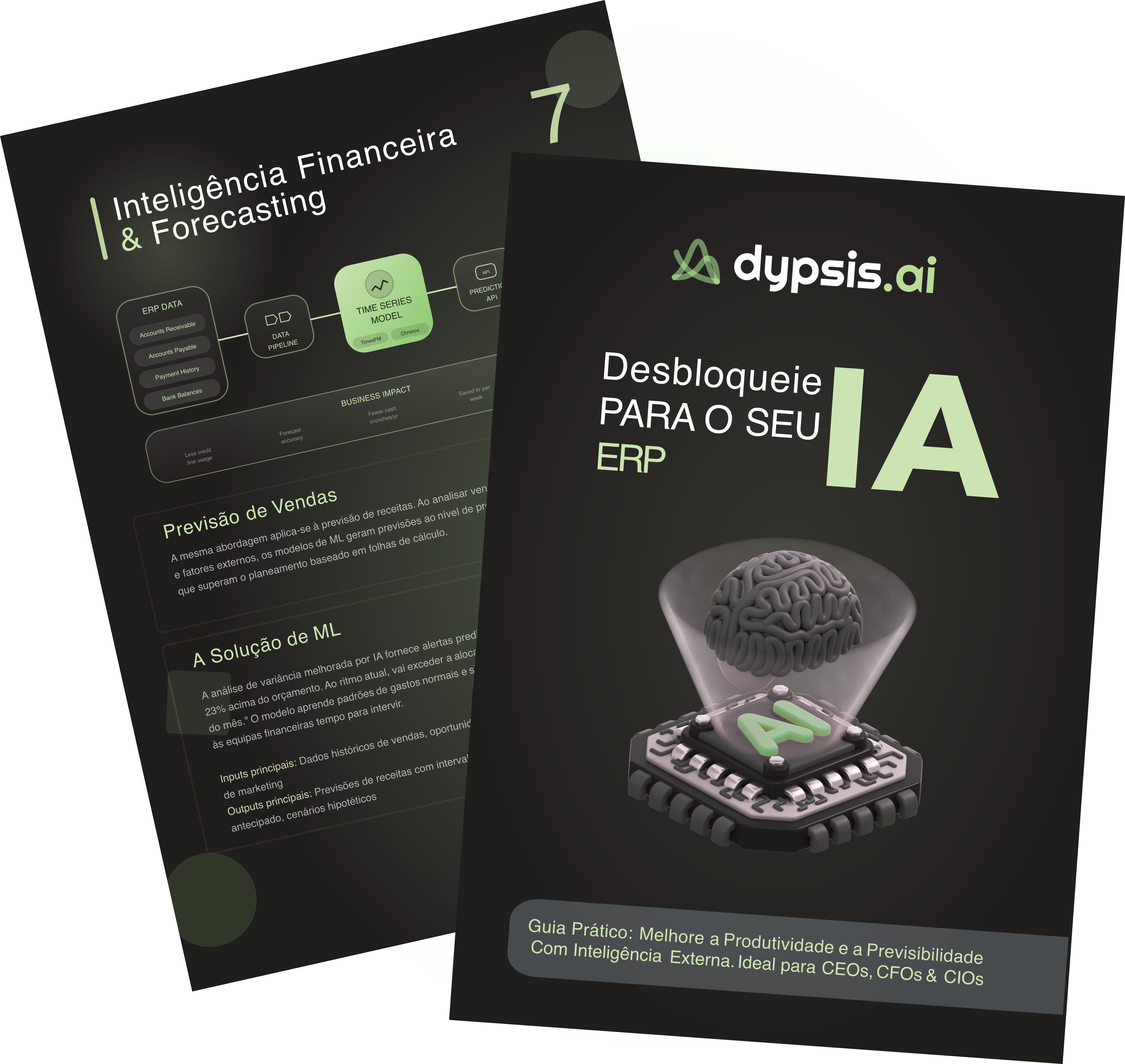 ebook_erp_pt_preview